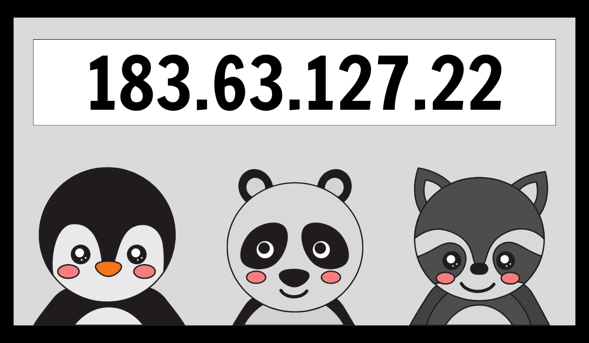 Discover 183.63.127.22 – Insights & Uses