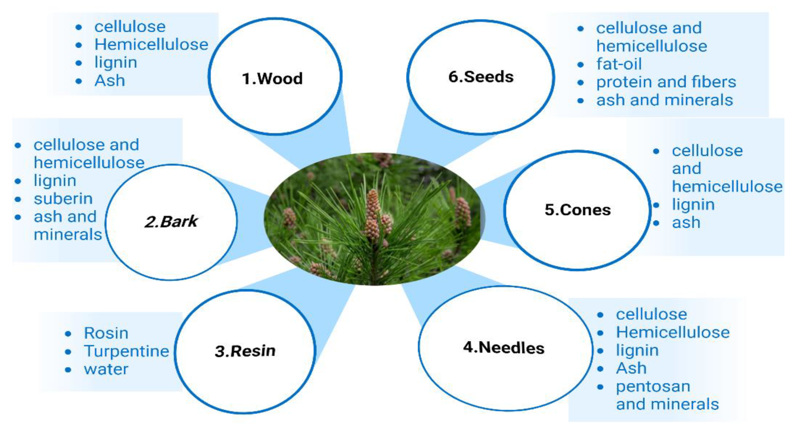 Kialodenzydaisis Healing: Natural Recovery Guide
