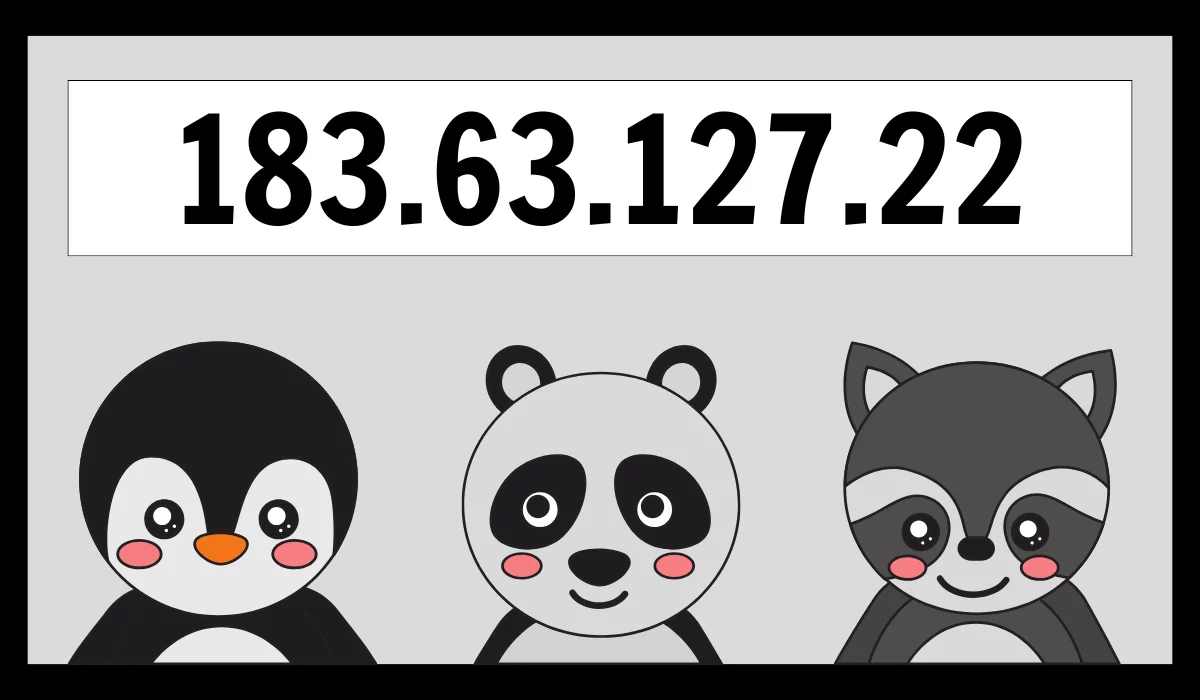 Understanding 183.63.127.22 IP Address Insights